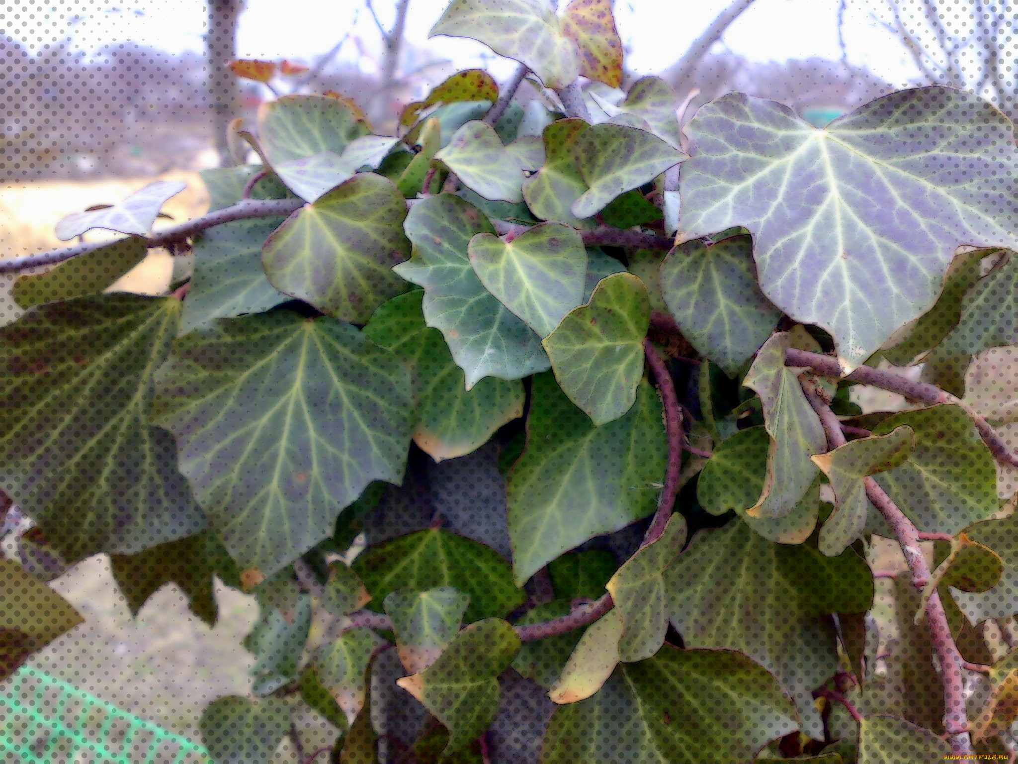 ,  , , , , , 